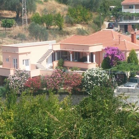 Guest'S House "Lindi&Roni" Lejlighed Ulcinj Værelse billede
