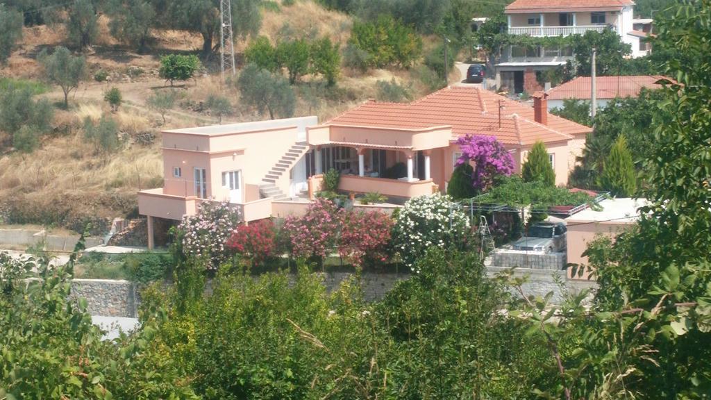Guest'S House "Lindi&Roni" Lejlighed Ulcinj Værelse billede